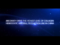 Introducción de MICONVEY Company